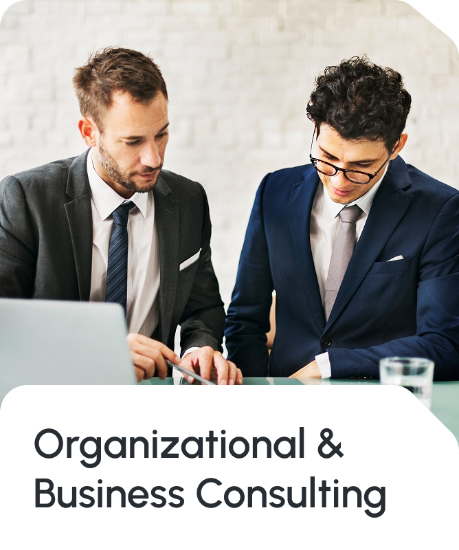 Professional business consulting marketing image featuring two businessmen in formal blue and black blazers reviewing a laptop document at a minimalist desk, with the text 'Organizational & Business Consulting' displayed at the bottom. Represents Star Trak Investments LLC's organizational consulting, business strategy development, corporate advisory services, and comprehensive business transformation solutions for enterprises